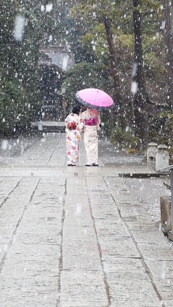 Two ladies at Tsurugaoka Hachiman-gÅ« Shinto Shrine